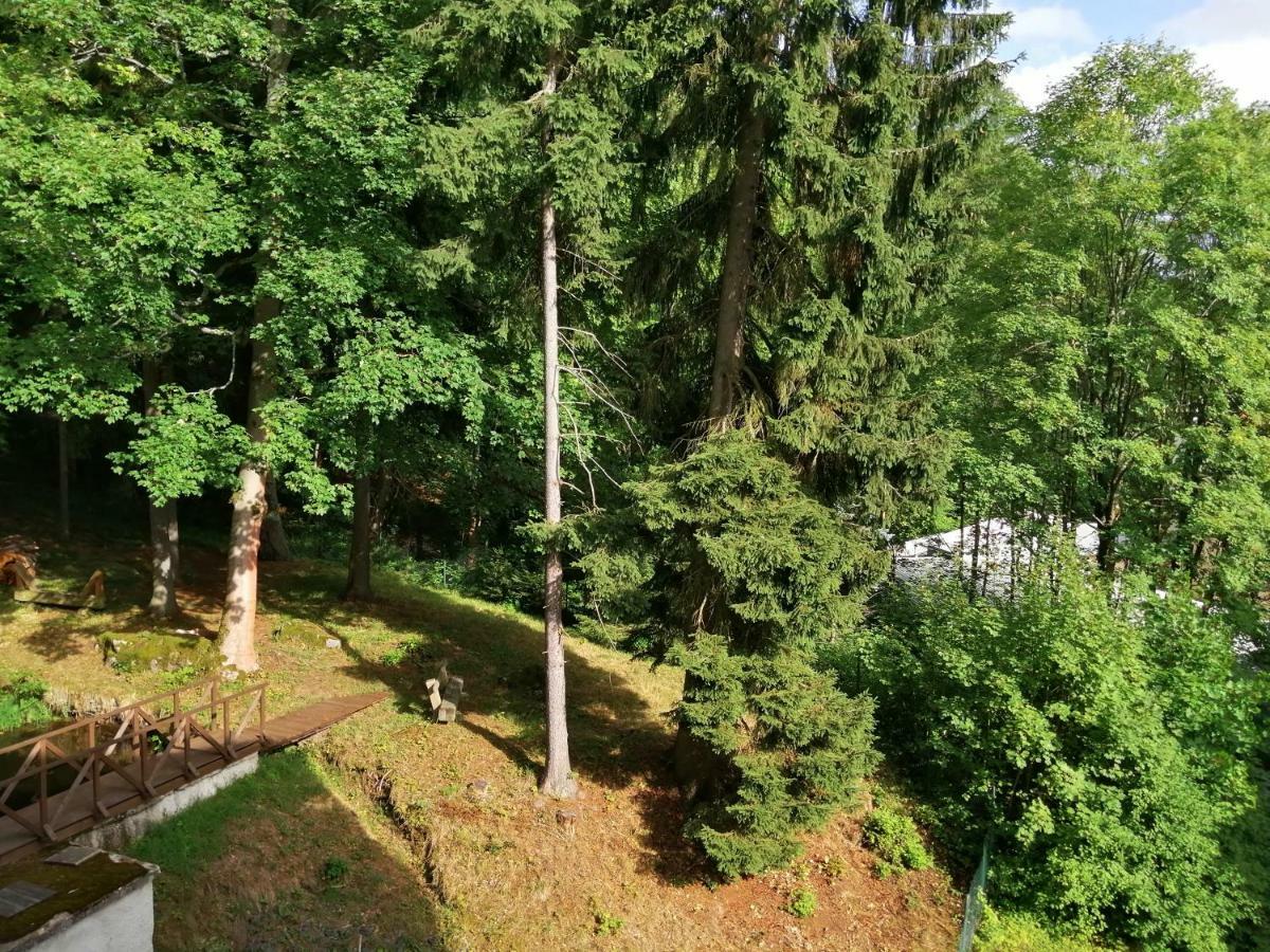 Parkhotel Forest Mariánské Lázně Extérieur photo